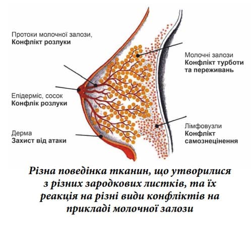 Snimok_ekrana_2024-10-09_113118_1